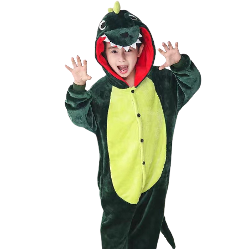 Kids Dinosaur Onesie